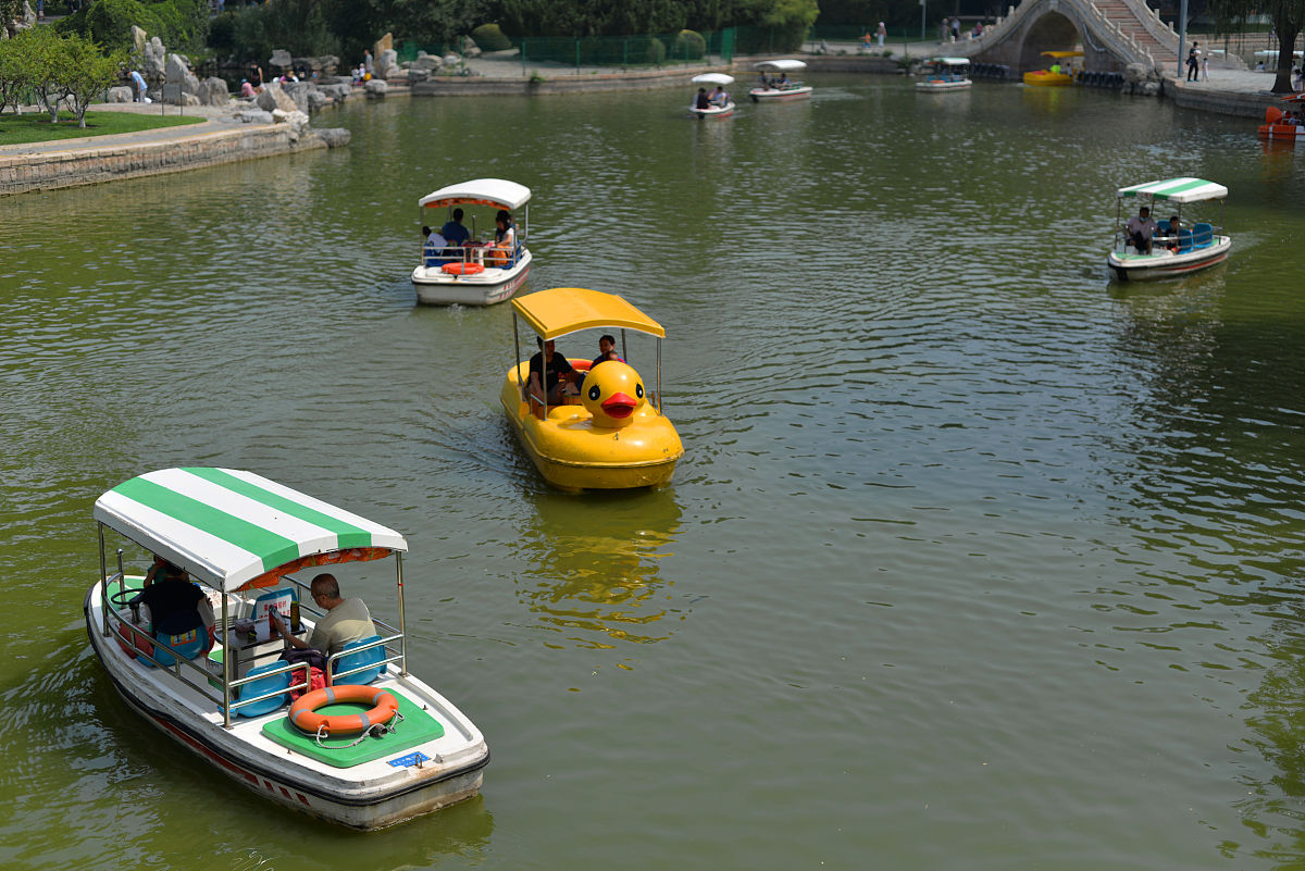 學校春遊 新安江 遊船 花鳥市場 400字作文