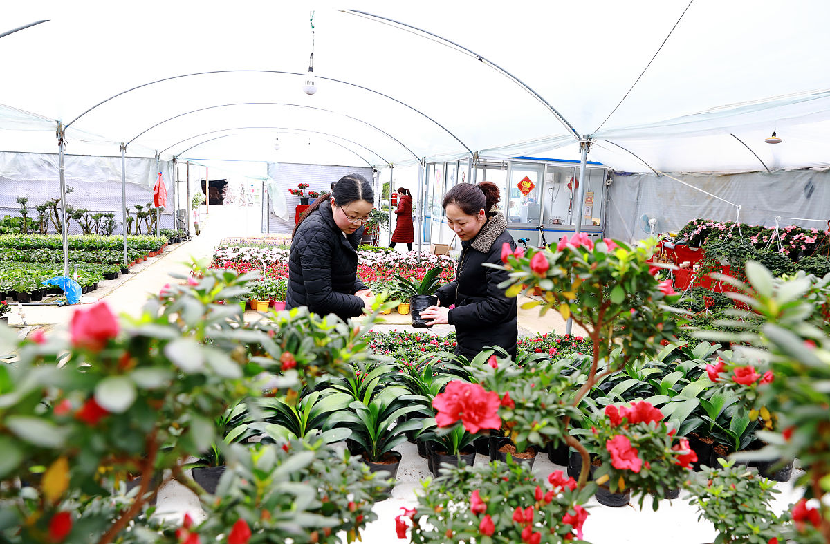 重庆园林技工学校果蔬花卉与生产教学质量怎么样