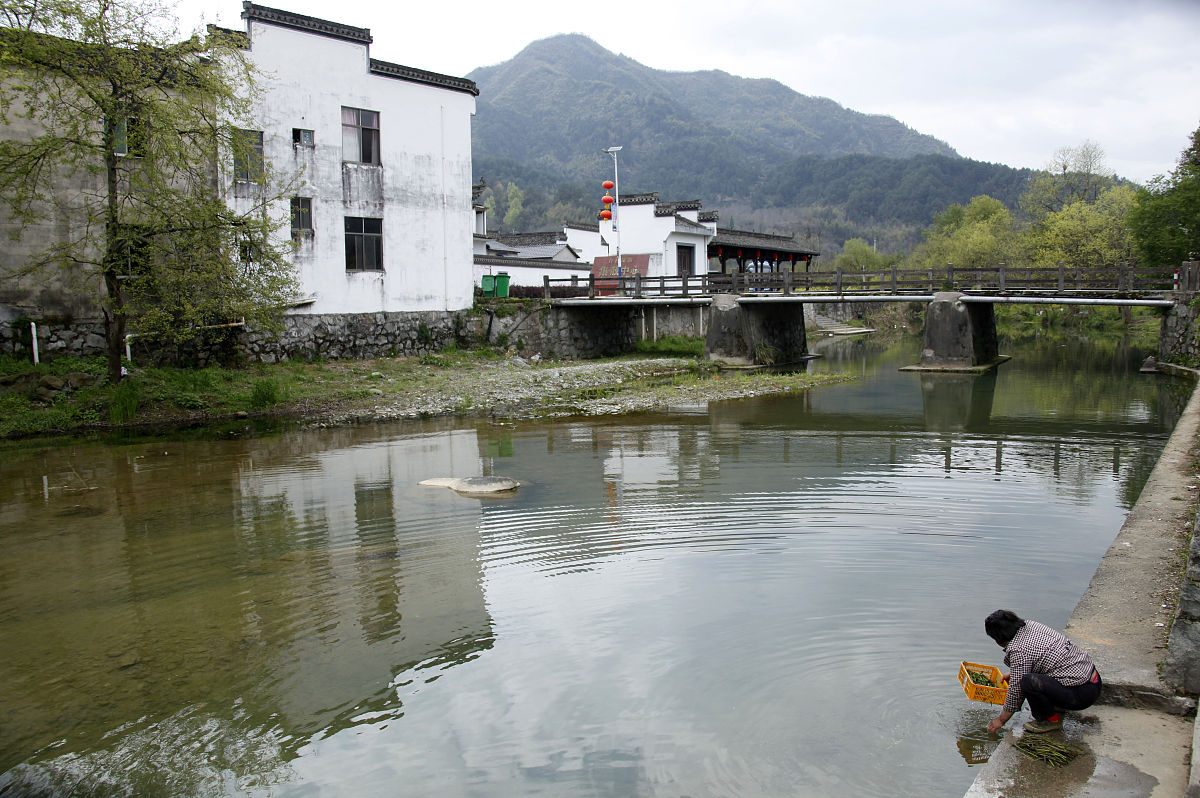 黄山休宁400年古鱼塘