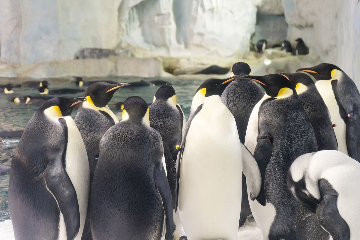 主题乐园的赚钱方式有哪些？