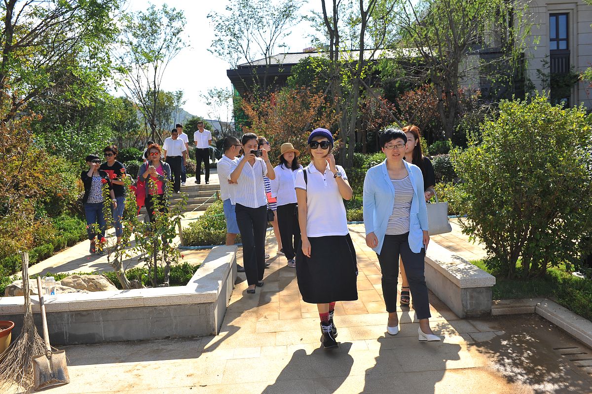 乾县林业局成功授信 35 万元，东新街党支部营销再创佳绩