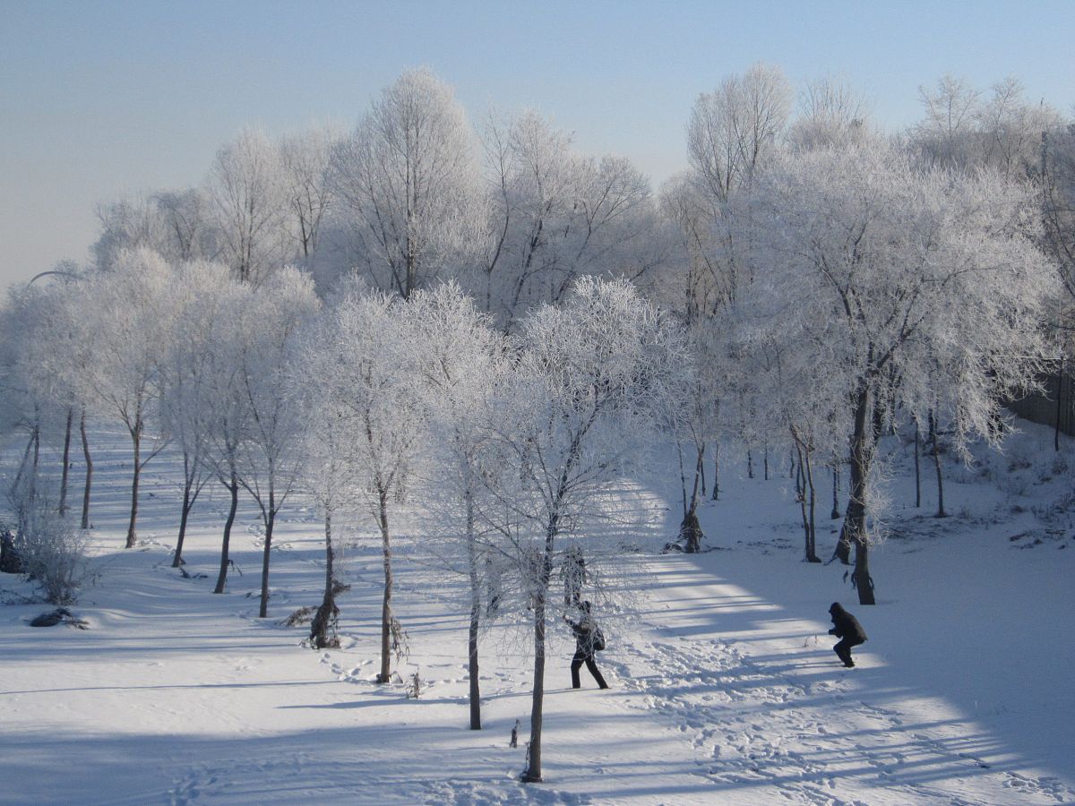 请帮我解释空冷器的功能，2000字左右