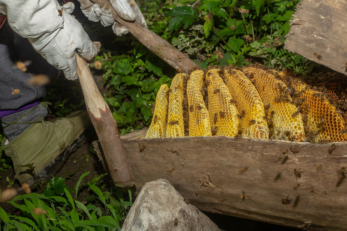 绵阳初中升学率高，如何选择学校？