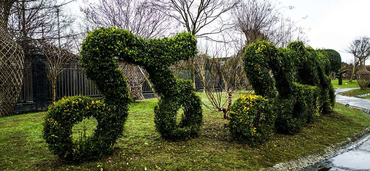 2021年成都博才学院专业设置：计算机、商科、文科、艺术类