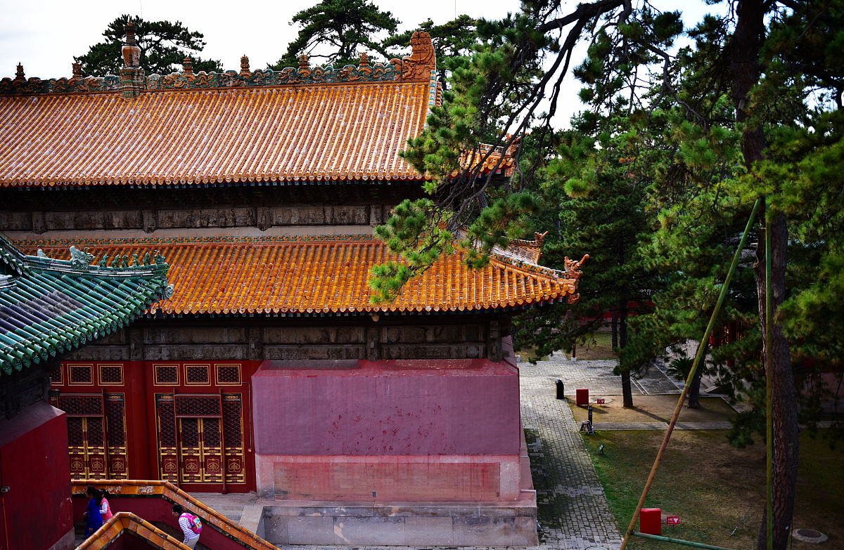 承德职教中心旅游服务专业怎么样？优势分析及就业前景