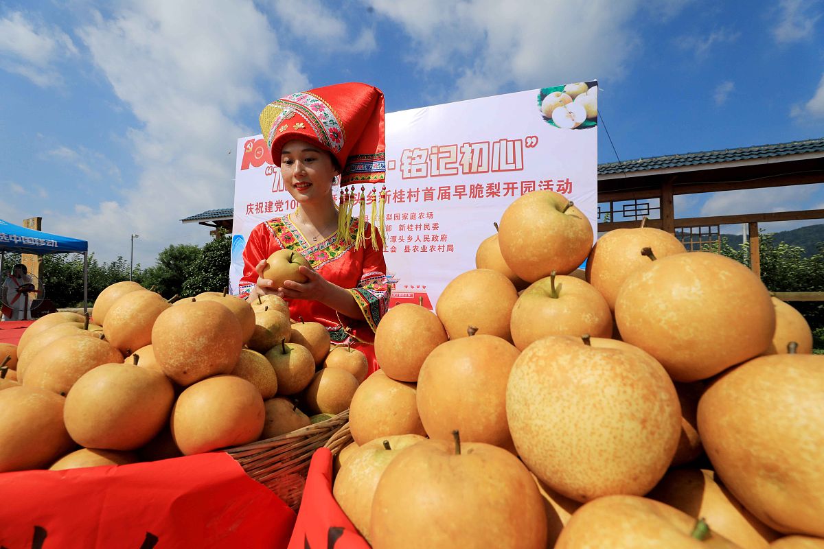 广西生态工程职业技术学院食品生物技术专业就业前景好？