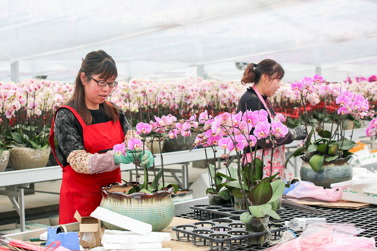 青岛园林技工学校花卉艺术专业怎么样