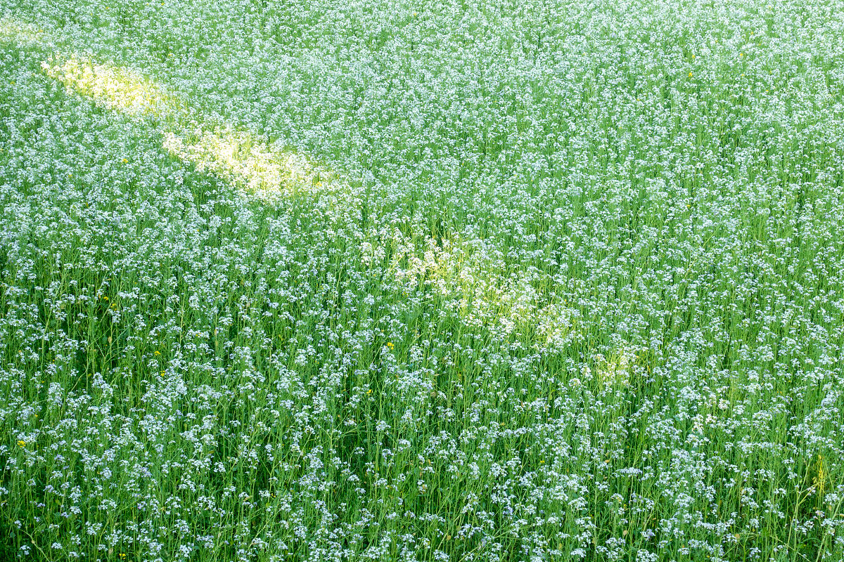 贵州交通运输学校2022年新增专业 | 交通运输、物流管理、车辆技术