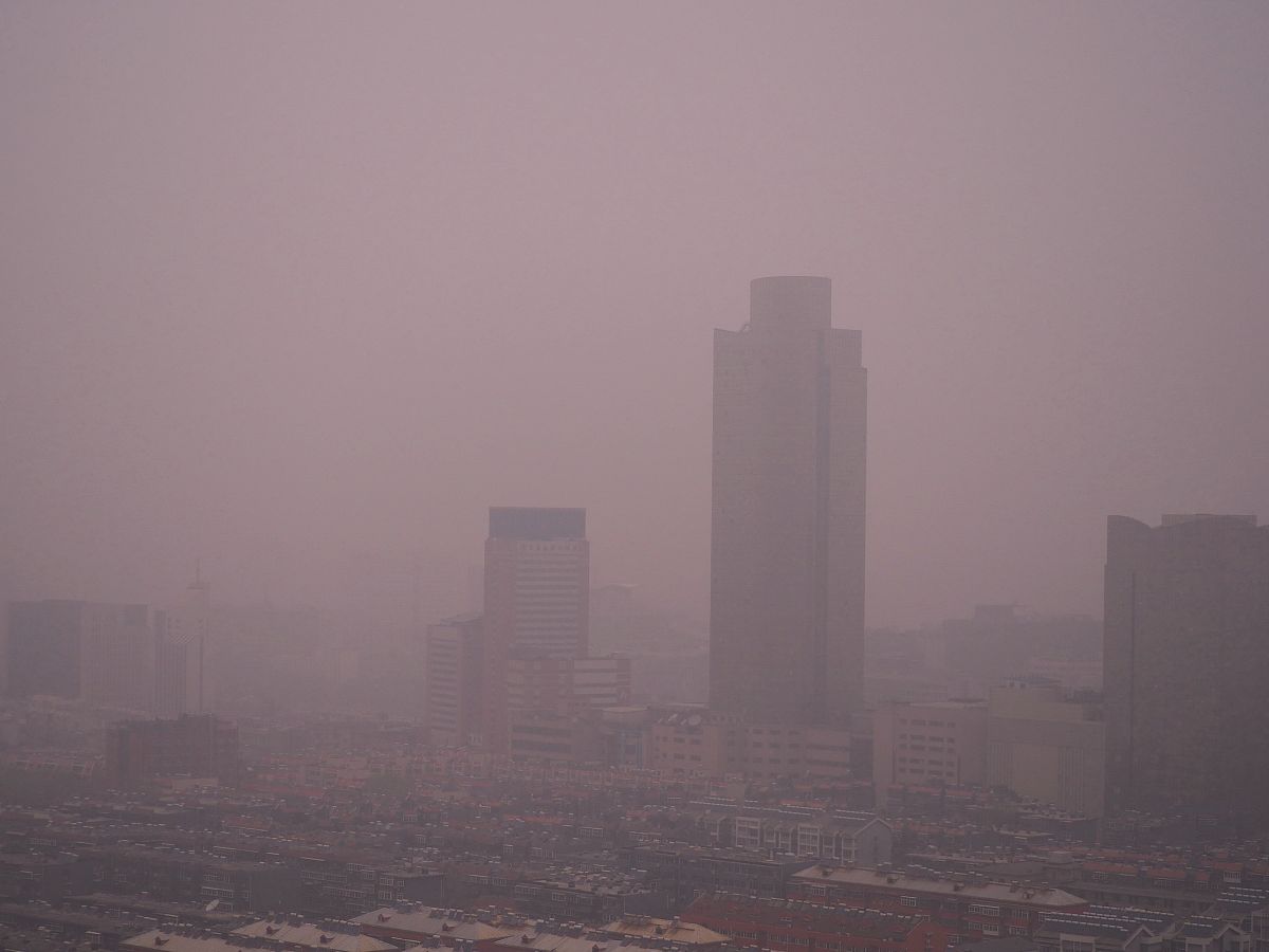 L外贸公司：销售人员绩效考核透明度低带来的负面影响