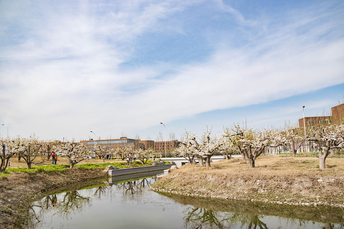 南开大学工商管理专业：优势、劣势及就业前景
