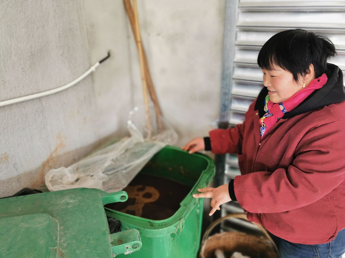 酵素作用原理：6个步骤详解