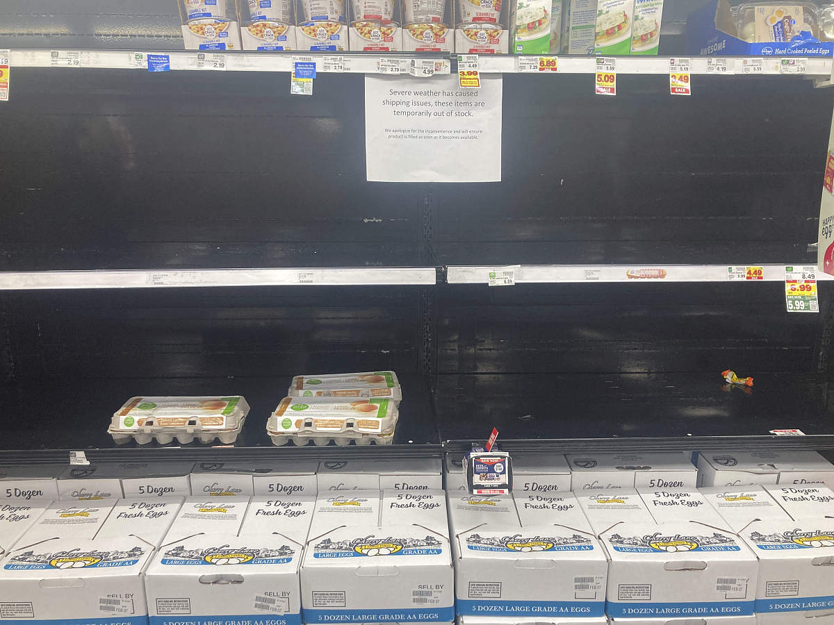 代码中BulletCollTest的含义解释