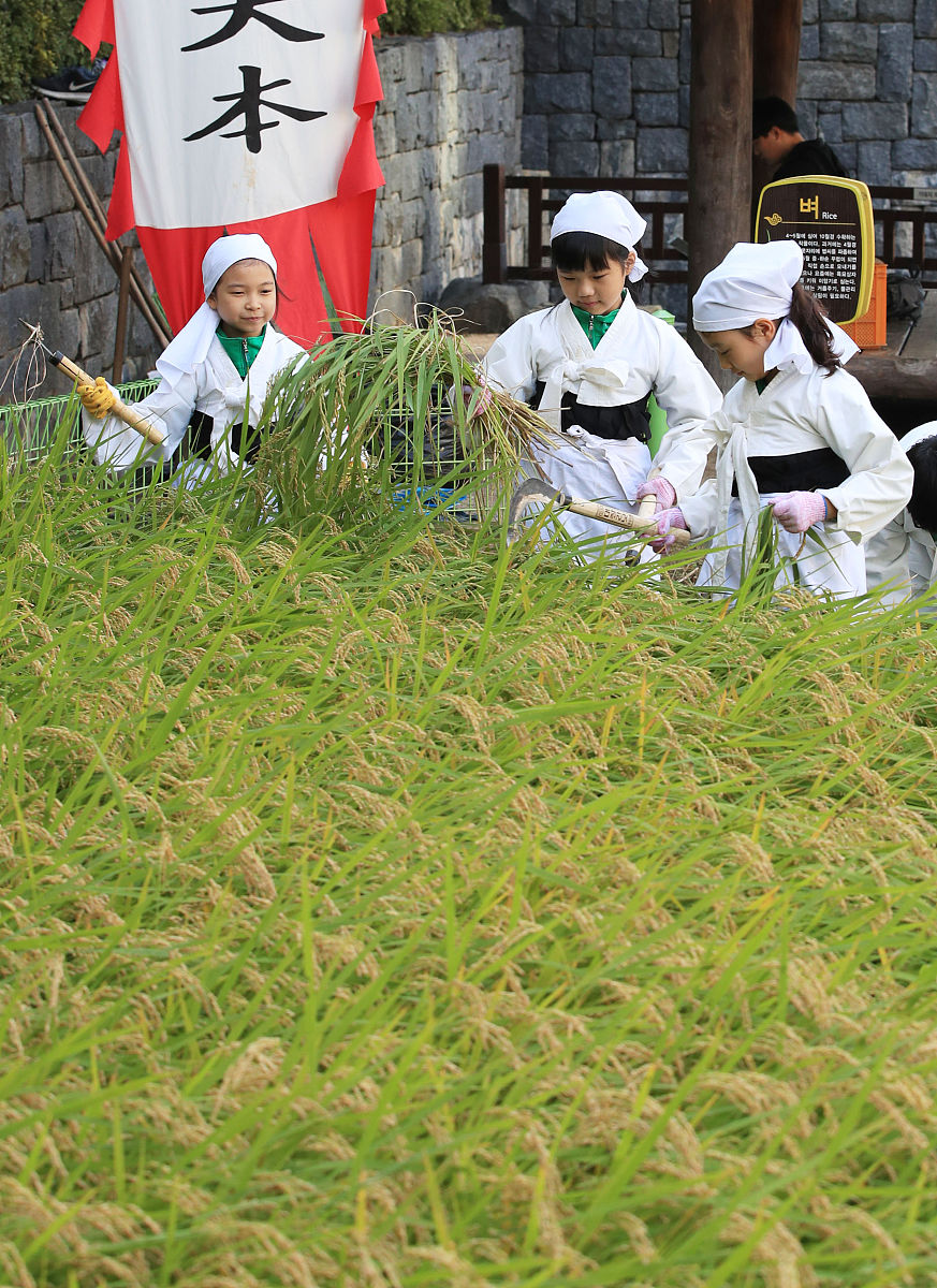 西昌职业学校有哪些 有着不一样的风土人情