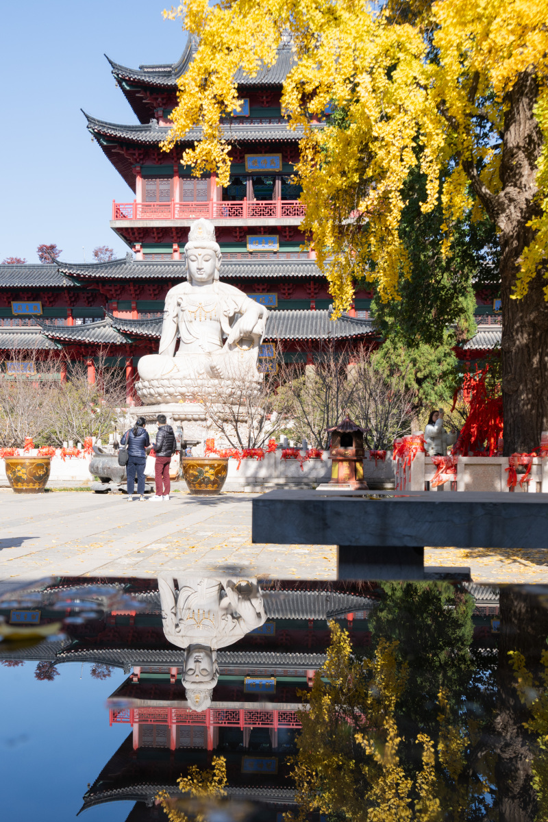 今早去龙华寺祈福,刚走到半山腰就被一只狸花猫拦住了去路.