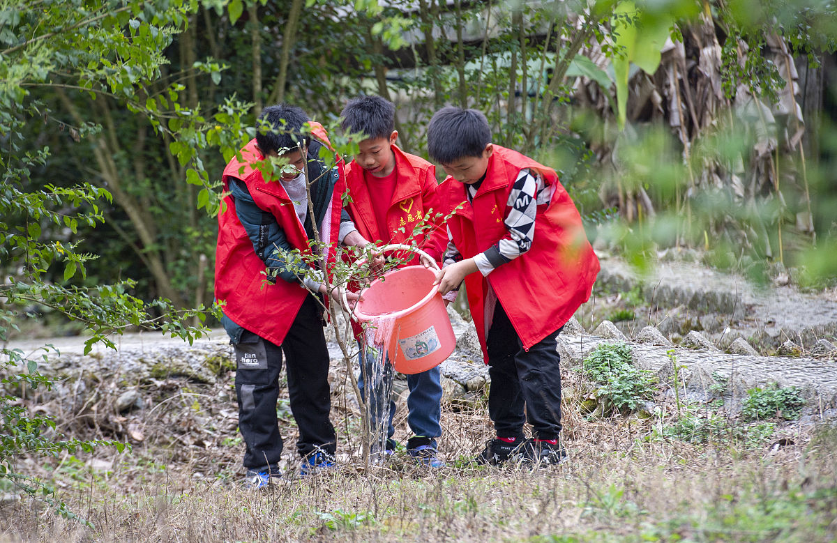 三下乡社会实践活动心得体会：农村发展现状与困境