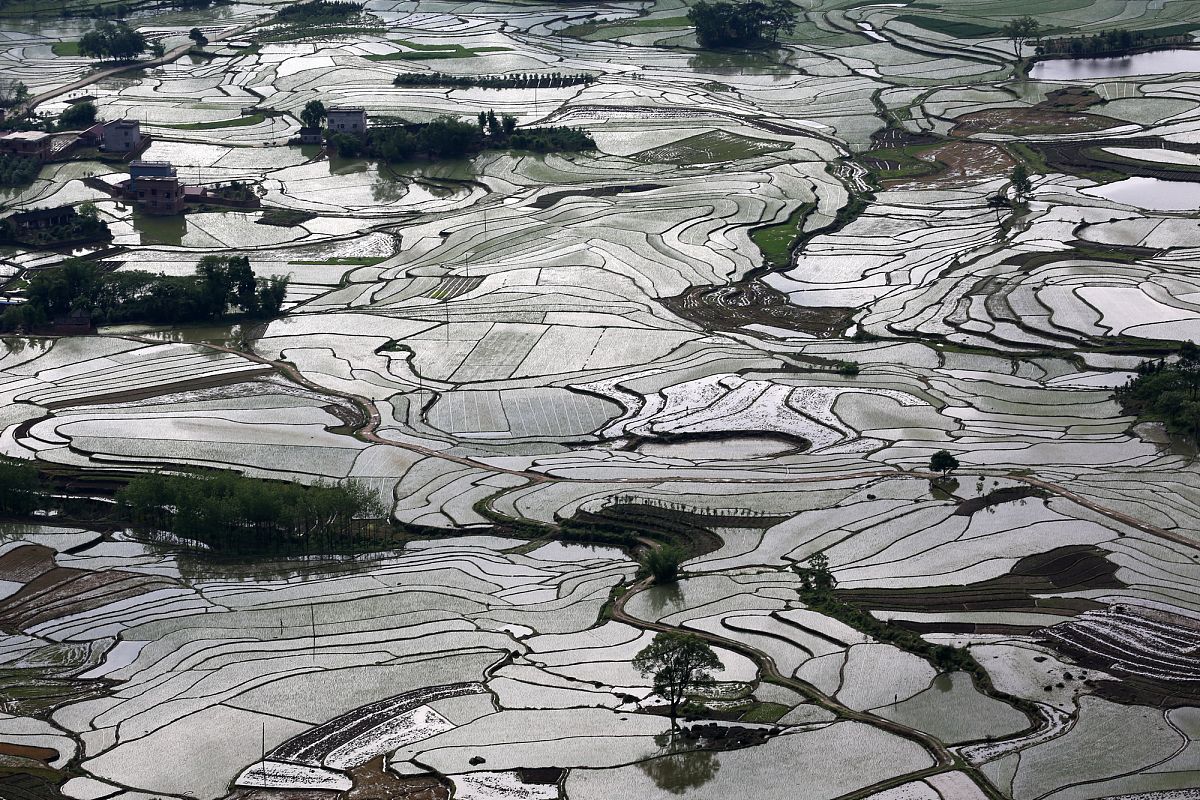 一首诗 开头：你一句春不晚我到了真江南。包含：细柳微风相思春水羽裳
