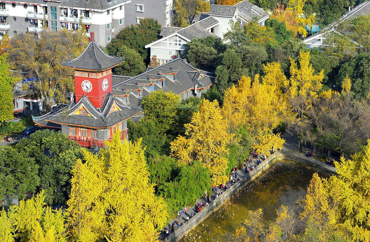 四川大学医学院康复治疗学专业招生：助力患者重拾健康生活