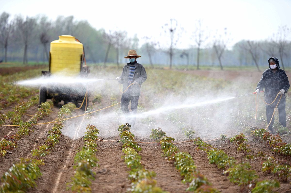 讨论害虫综合防治在农业生产中的应用前景。