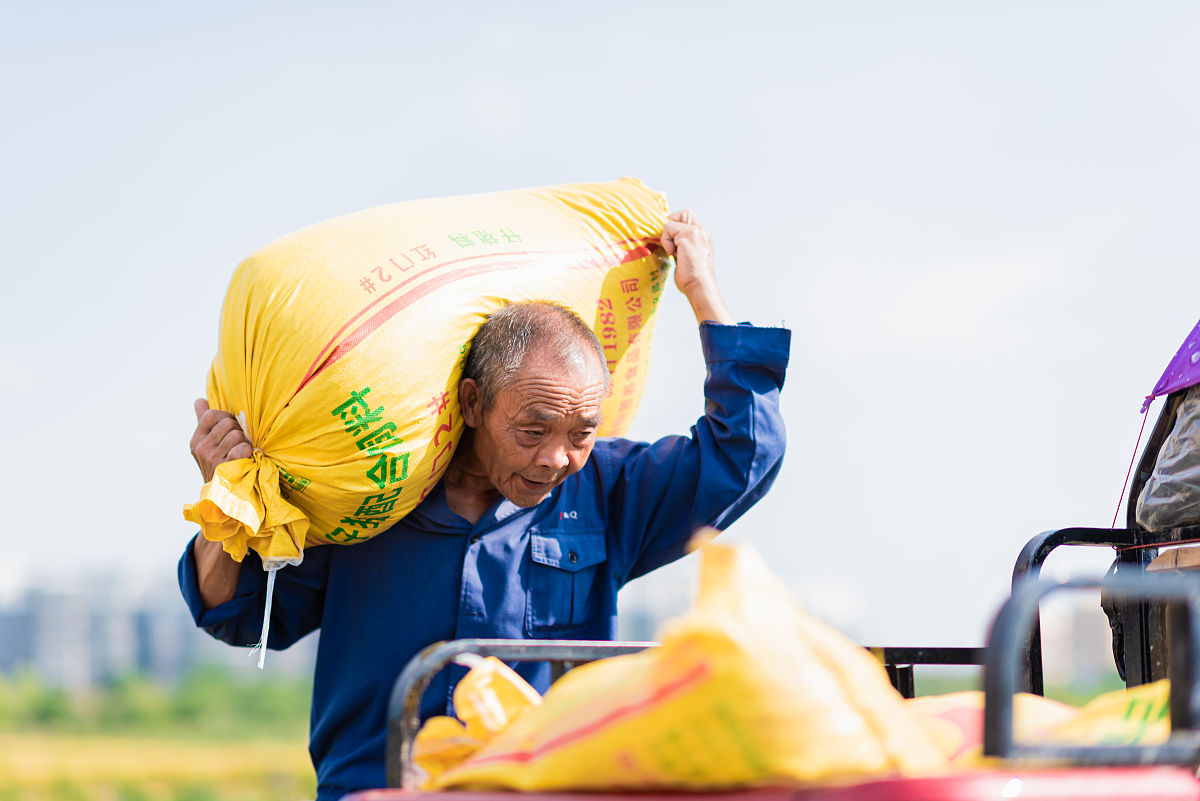 金堂卫校2019招生问答：专业、招生对象、条件、环境、就业
