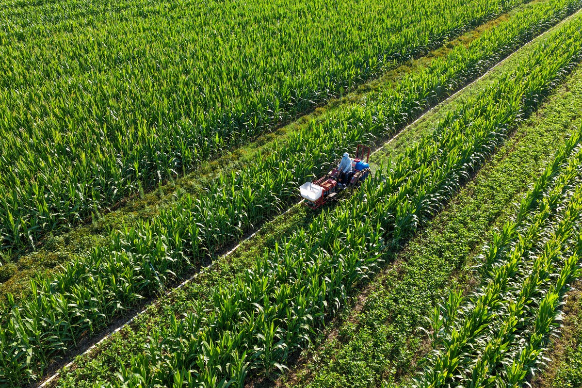 2023年报读作物生产技术专业就业前景分析：广阔机遇与挑战并存