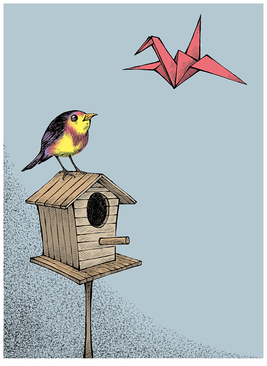 为什么小鸟要学飞行？爆笑小鸟学飞故事