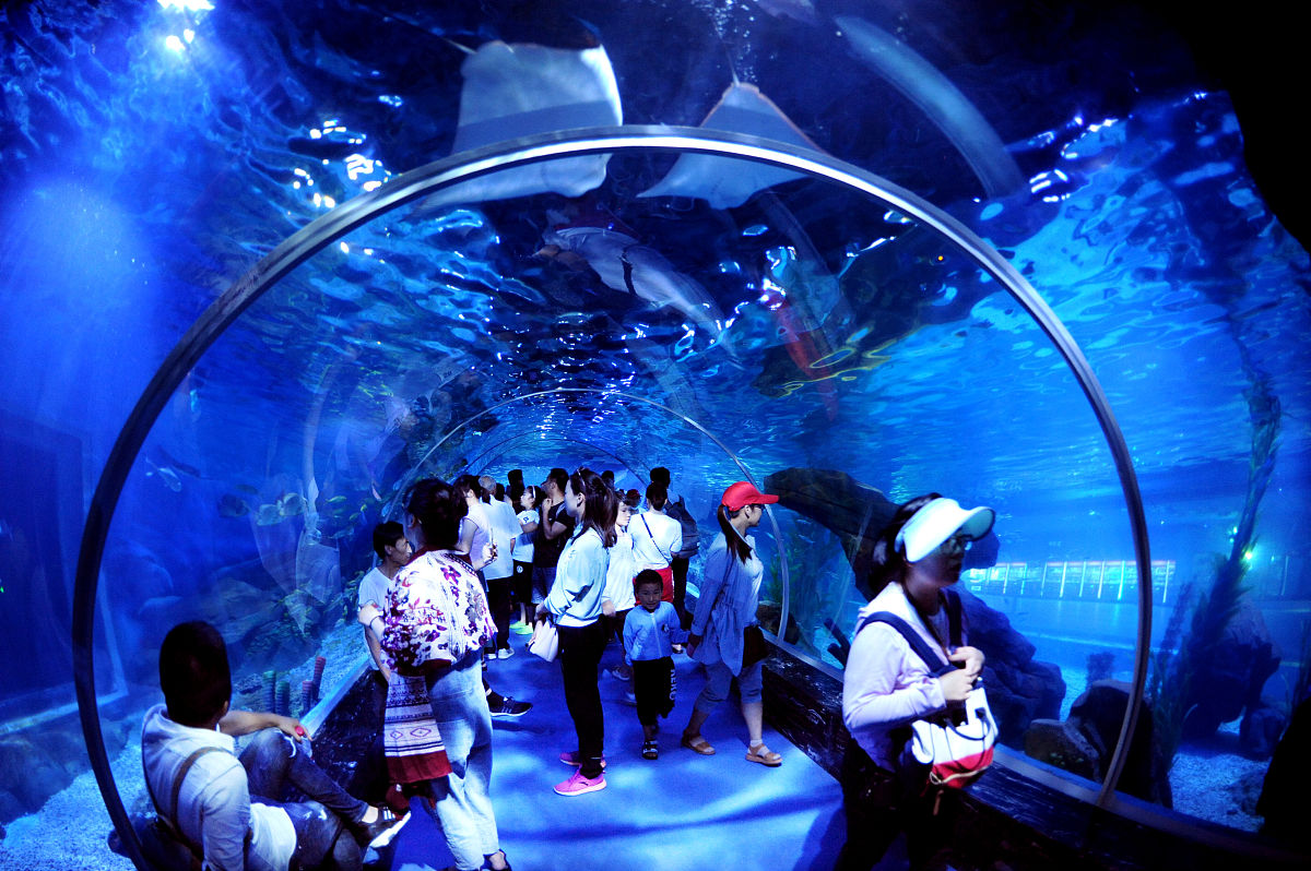 上海长风海洋公园和上海水族馆哪个适合3岁小孩