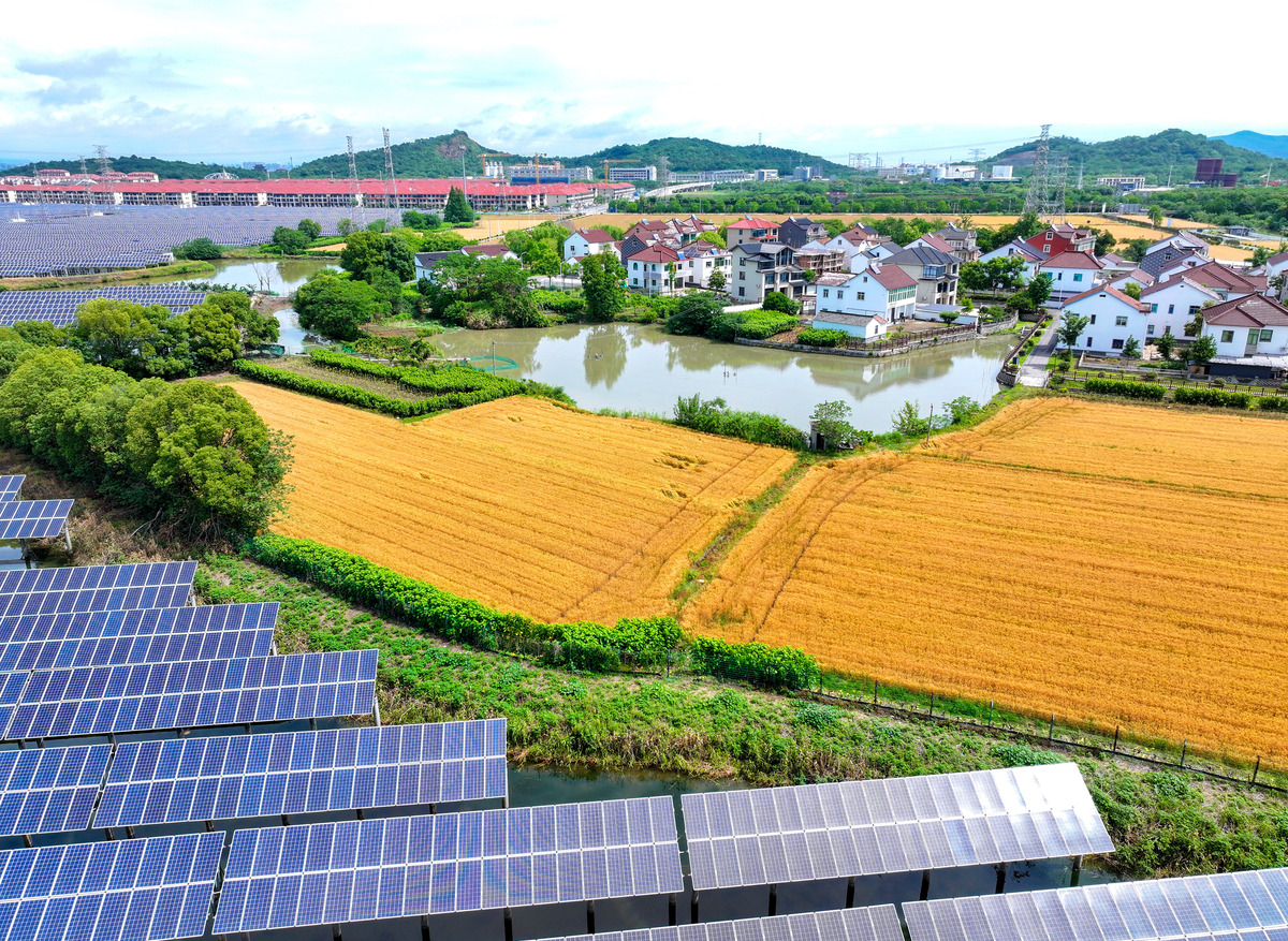 中国村振兴战略解读：目标、措施与影响