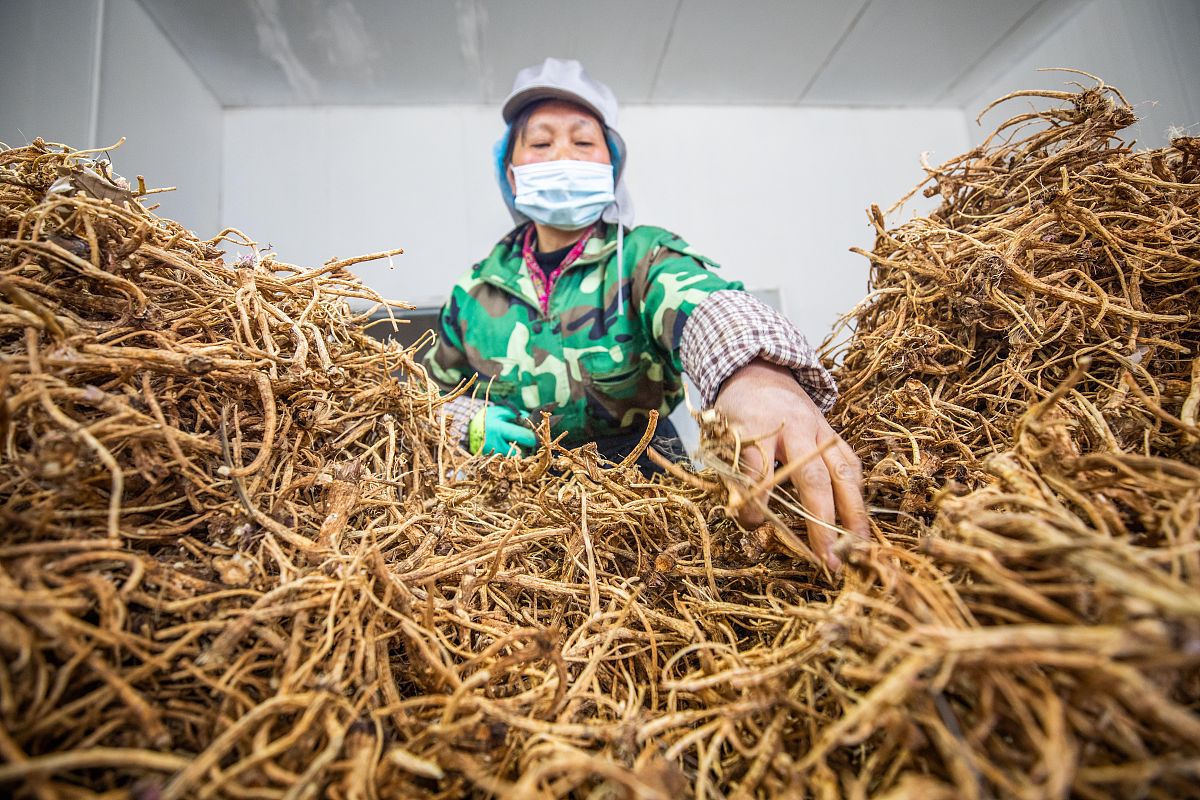 你现在的身份是工商管理学硕士要对硕士毕业论文《子洲县富发农业科技有限公司黄芪产品市场营销策略优化研究》的31子洲县富发农业科技有限公司简介进行写作保证其内容的合理性不要乱写：