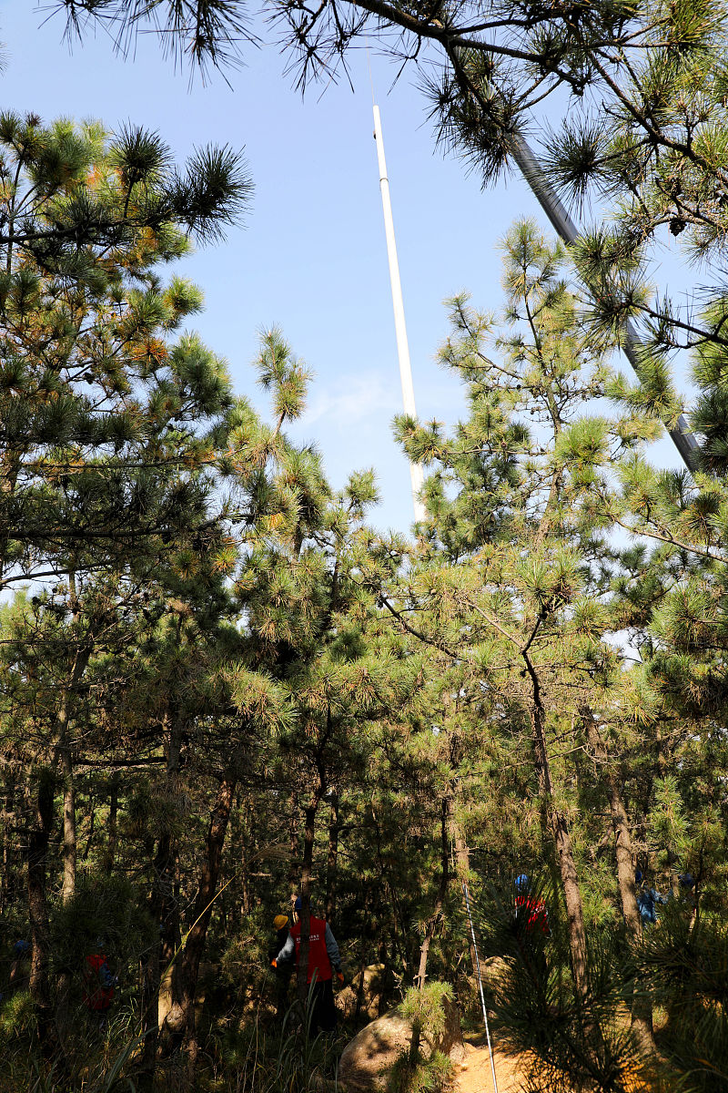 强化向上请示汇报，加快推荐干部核查工作