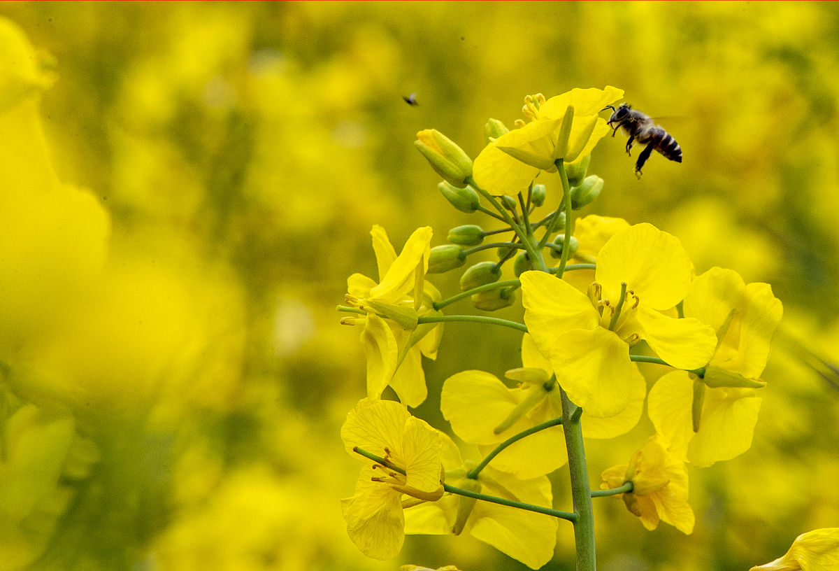 四川中专学校热门专业推荐：2022年读什么专业好？