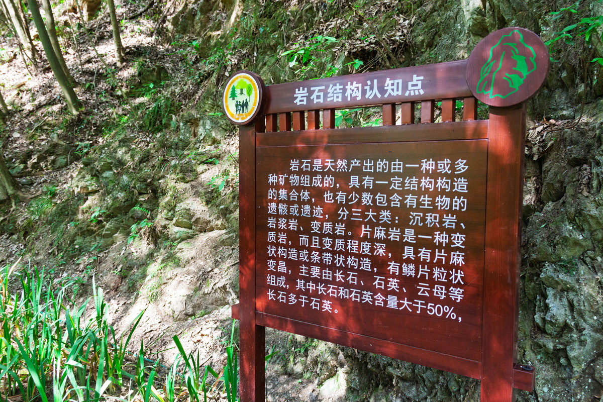 中国第一个国家森林公园：1982年12月正式命名