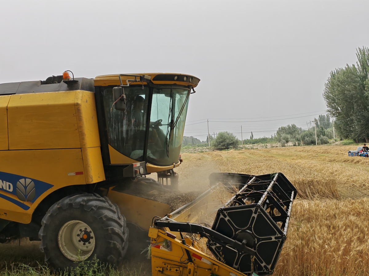 学装载机：跟师傅学好还是学校学好？