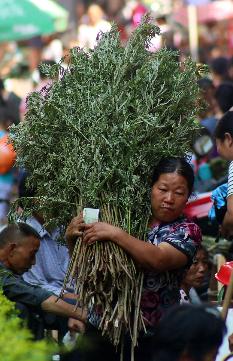 江西樟树市有着丰富的历史文化底蕴有药都、酒都、盐都之称。端午节 各家门前都挂起了艾草和菖蒲 赛龙舟更是热闹 天公虽然不作美 下着雨 但激情挡不住 人民挥舞着旗帜 呐喊声不断 以端午为素村写一篇文章 2000文字