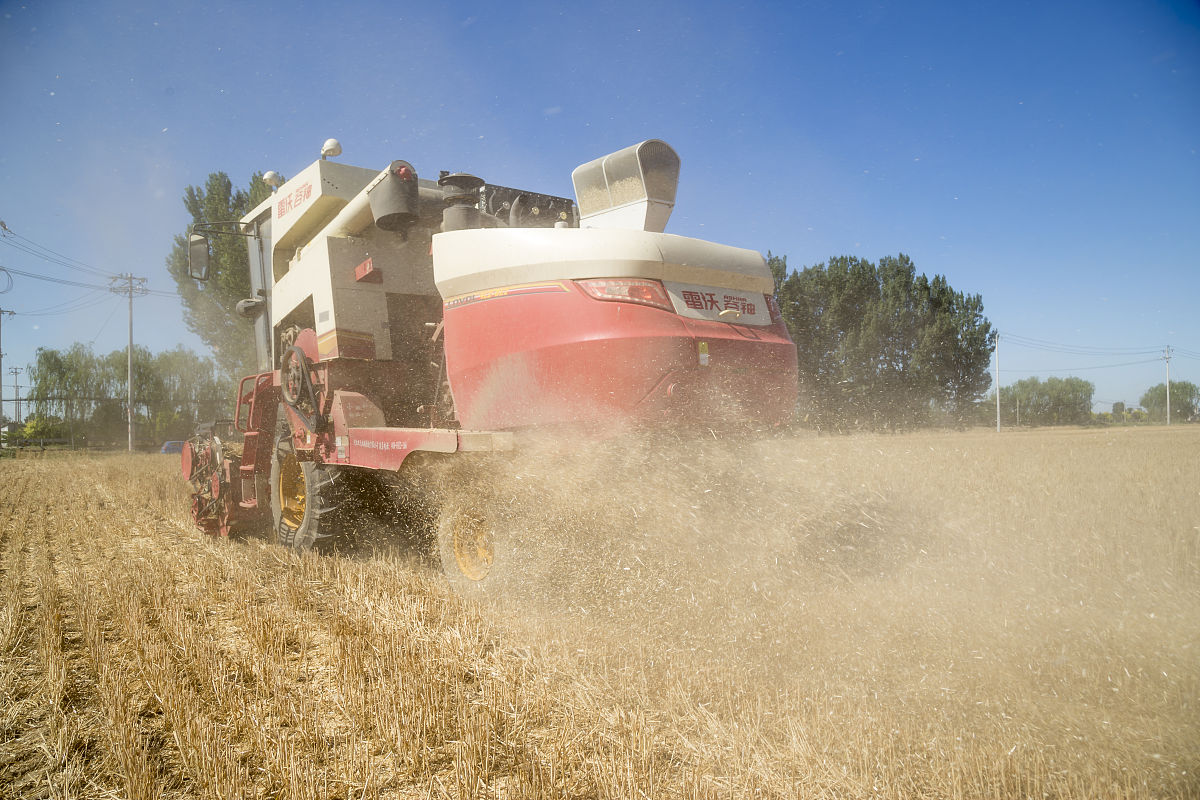 重庆市农业机械化学校园林技术专业就业前景分析