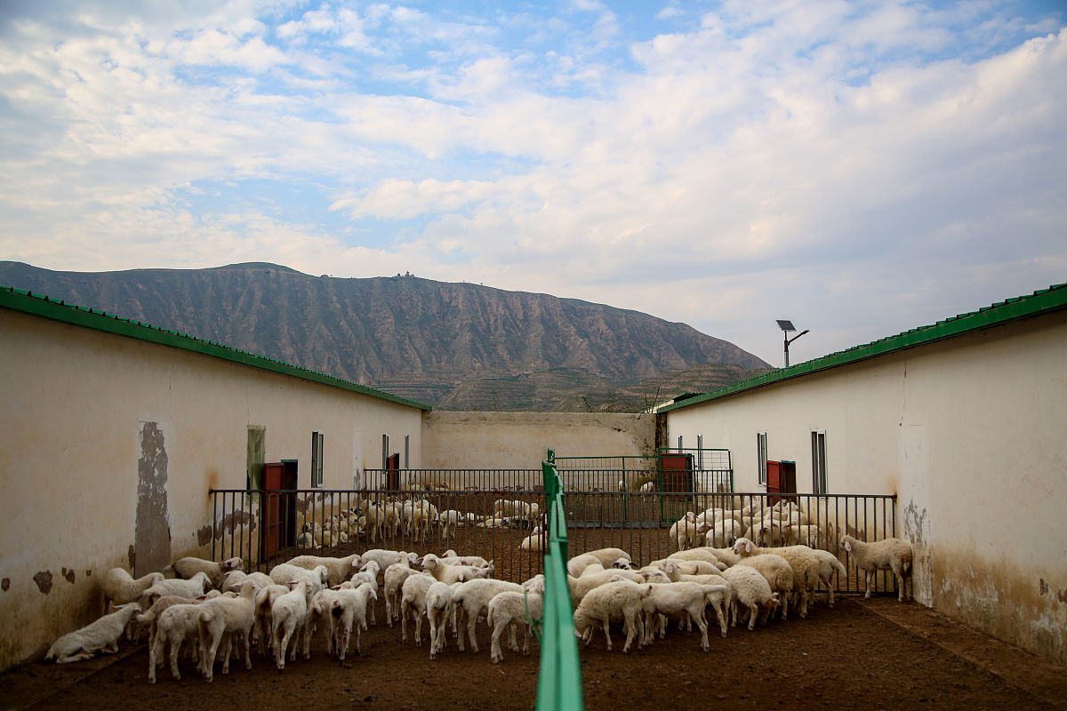 在甘肃读交通运输与物流管理专业可以去哪些学校