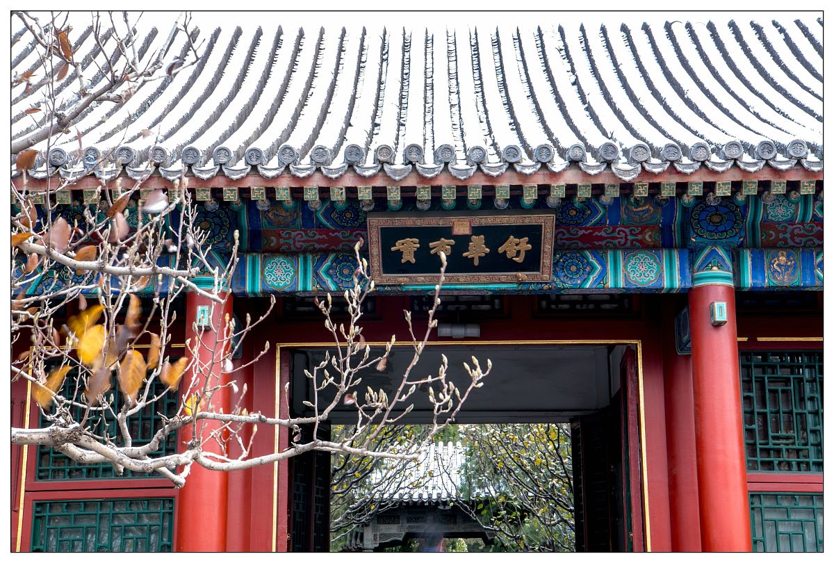 2016年11月21日,北京今冬的第一场雪来了.早上一打开窗户,窗外一片银
