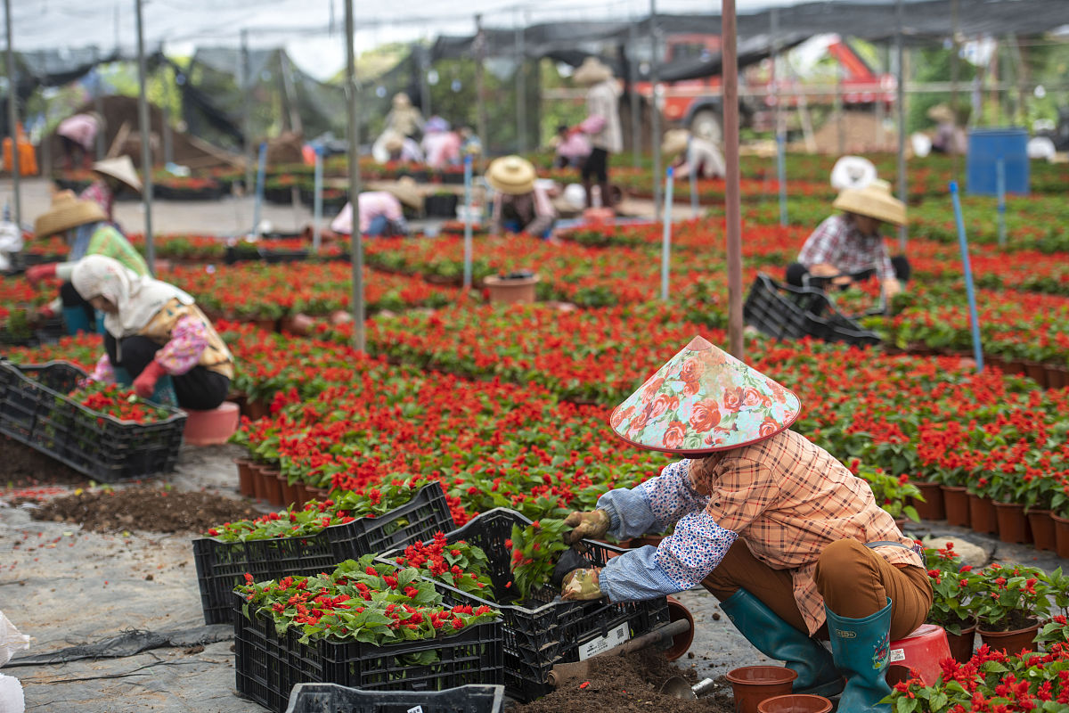 请润色和修改逻辑：制定全面的发展规划和政策支持加强鲜花产业的规划和管理提高鲜花产业的科技含量和品质。我们可以举办各种形式的鲜花文化节、花展和花艺大赛推进花旅融合吸引国内外游客前来参观和交流推广云南的鲜花文化。同时通过多种宣传渠道推广鲜花品牌和文化。推进鲜花产业的智能化和绿色化加强技术改进和创新提高生产效率和资源利用率减少对环境的影响。不断加强人才培养和引进培养一批鲜花产业的专业人才和管理人才提升鲜