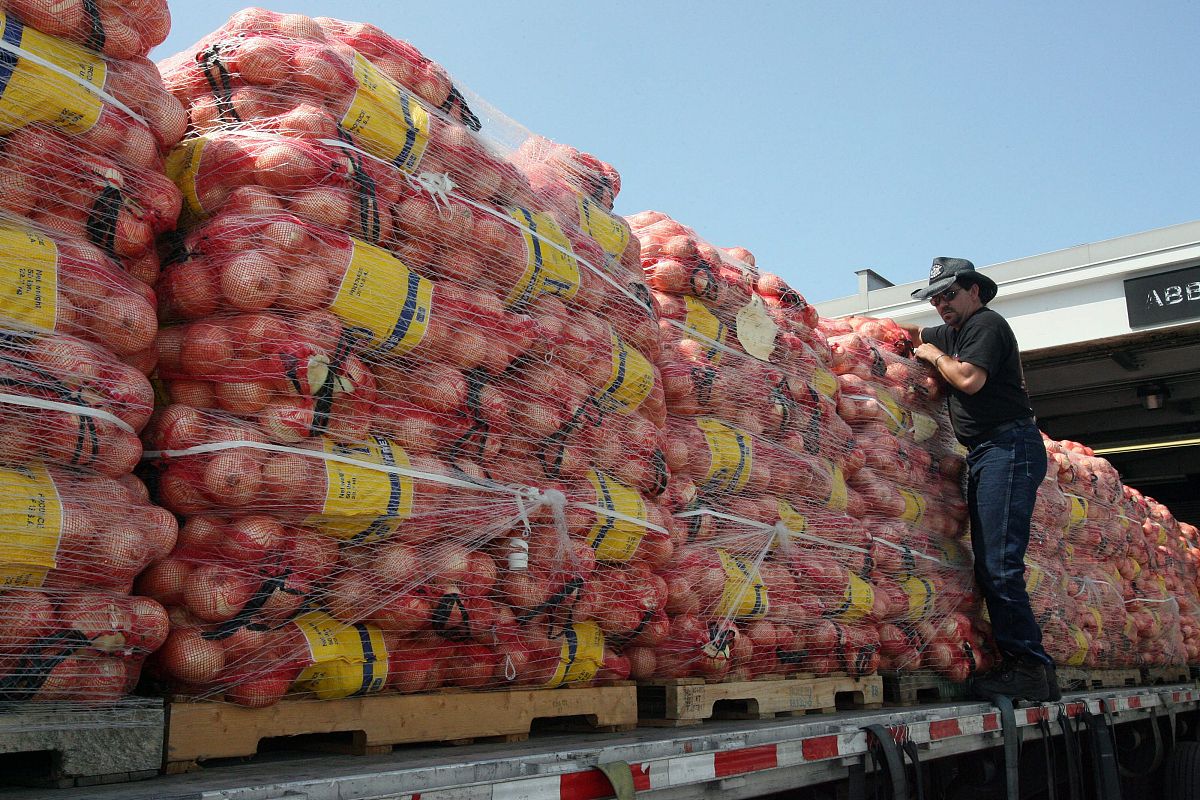 请根据以上内容写一份学习心得报告：一、	物料及现场定制管理1	物料管理文件11	生产物流管理办法：目的是为了7改善公司物流管理提高物料周转率减少库存资金积压保障车间生产秩序改善车间5S管理。物控部负责公司生产物流管理的总体策划、落实实施、监督检查、跟踪考核；车间、采购、材料仓库负责现场物流的实施、检查、考核、整改、发现异常及时协调解决上报处理。12	物流管理的基本要求：生产排产应考虑产能按8周计划