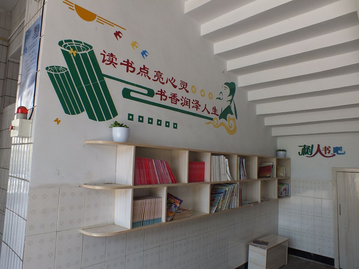 《重访三中文化中的幼儿园》一书的读书感悟要求字数四百字写出自己的真情实感