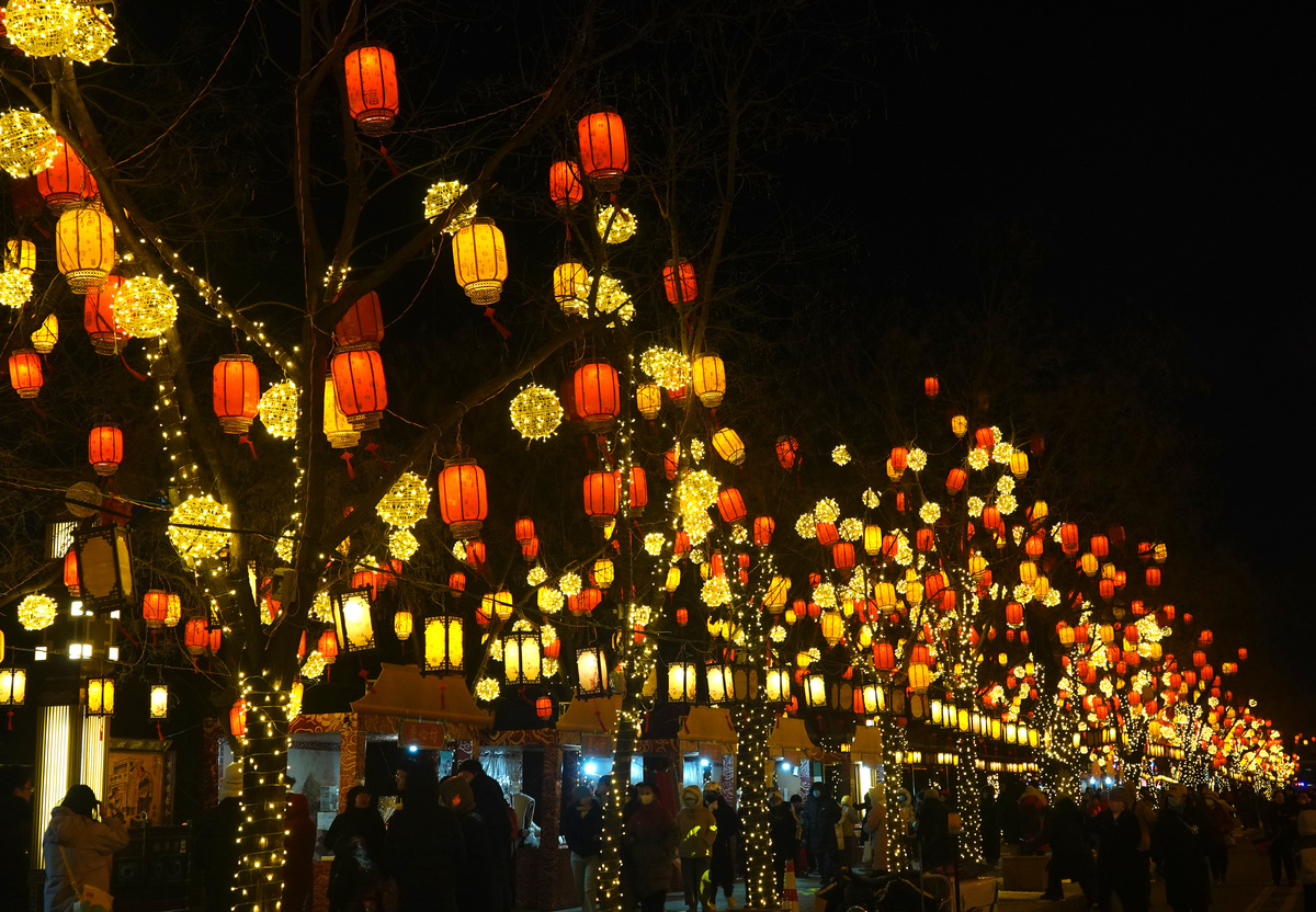  杏花岭区哪里有花灯