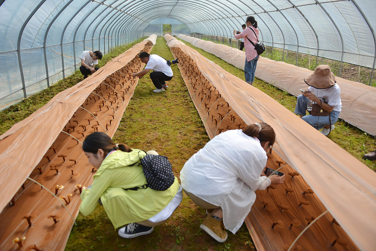 华中师范大学网络与新媒体专业怎么样？优势和特点解析