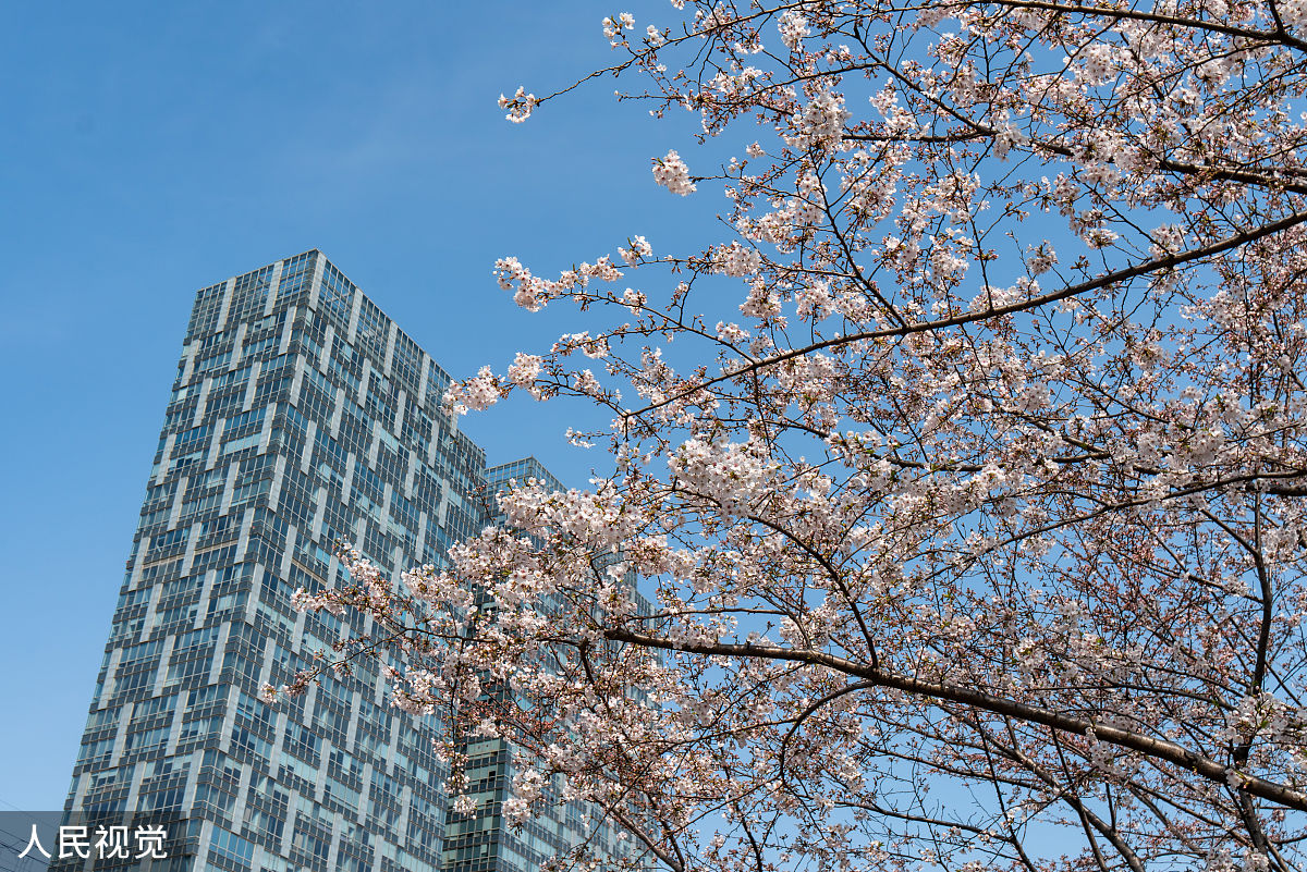 2020年3月23日,上海,有着"最美地铁口"之称的地铁8号线虹口足球场外的