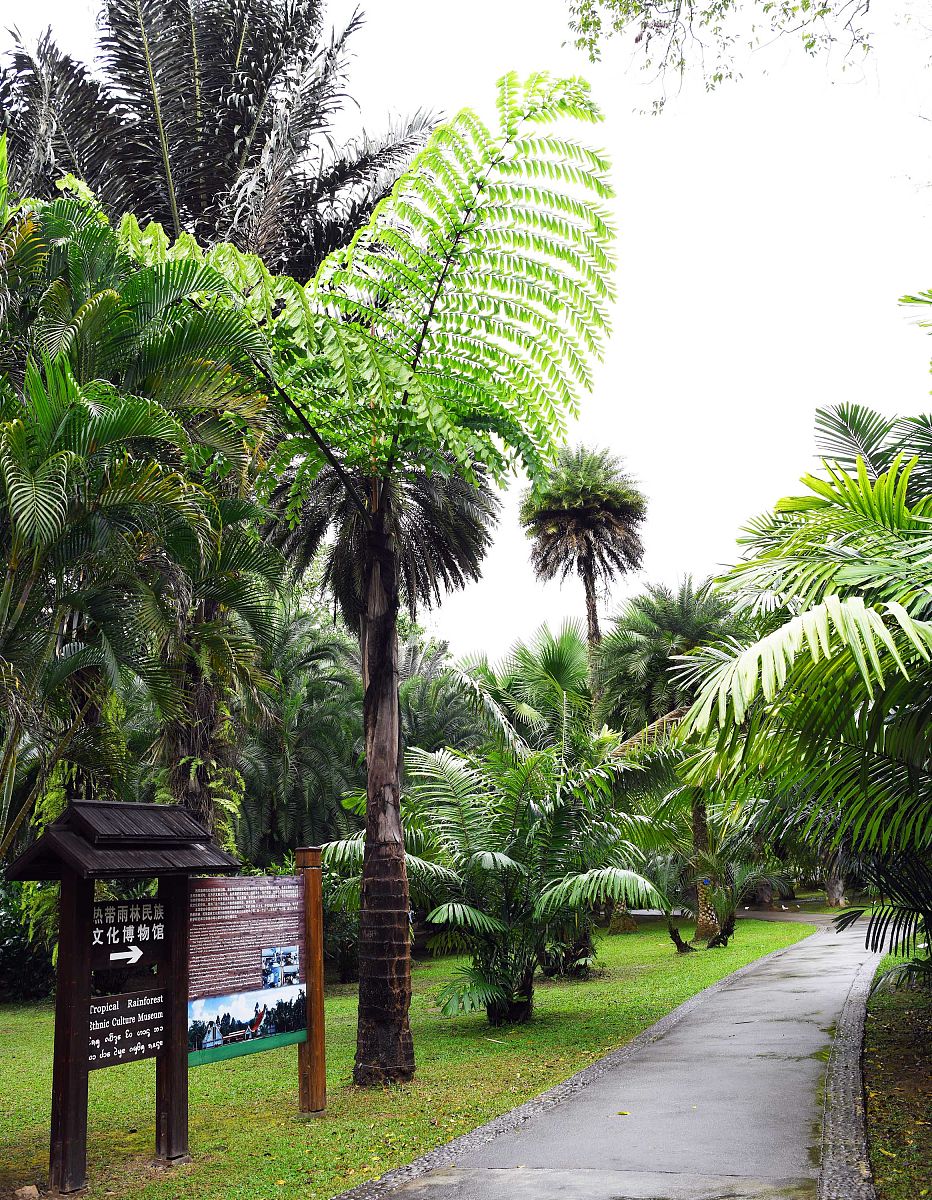 云南热带作物职业学院地址 | 云南热带作物专业人才培养基地