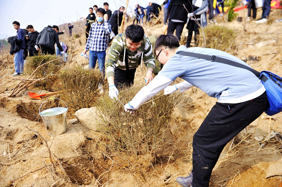 2021年3月13日,山东青岛西海岸新区灵山卫街道开山口村,市民参加植树