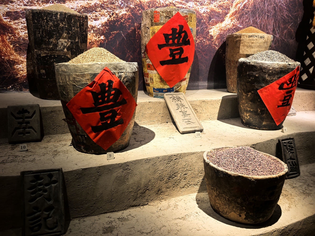 九江双蒸酒厂博物馆参观感悟：探寻百年酿造工艺与文化传承