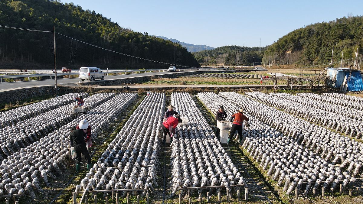 赫章县平山农业技术高级中学的环境好不好