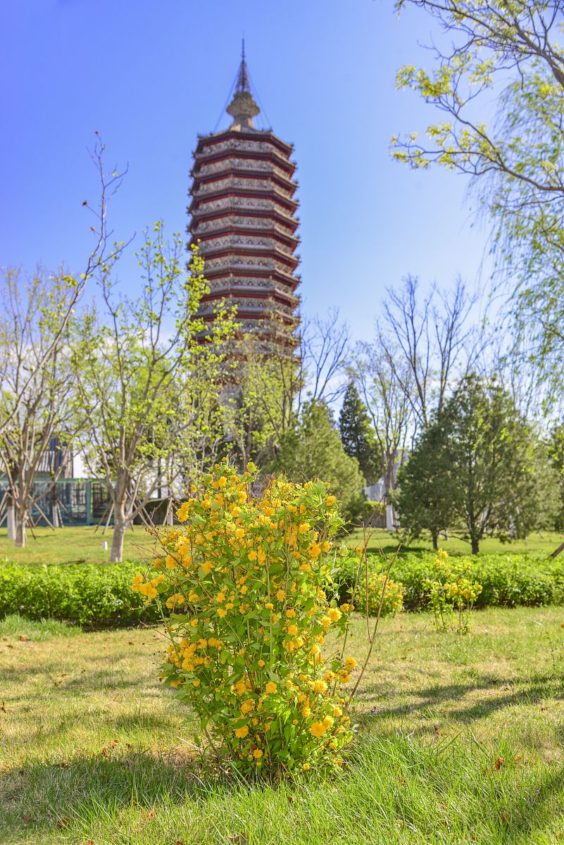 三教九流：儒道佛与士农工商医卜巫道儒