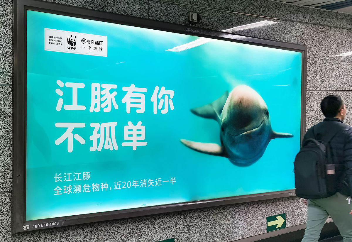 2019年11月22日,北京,首都国际机场内,世界自然基金会(wwf)"江豚有你