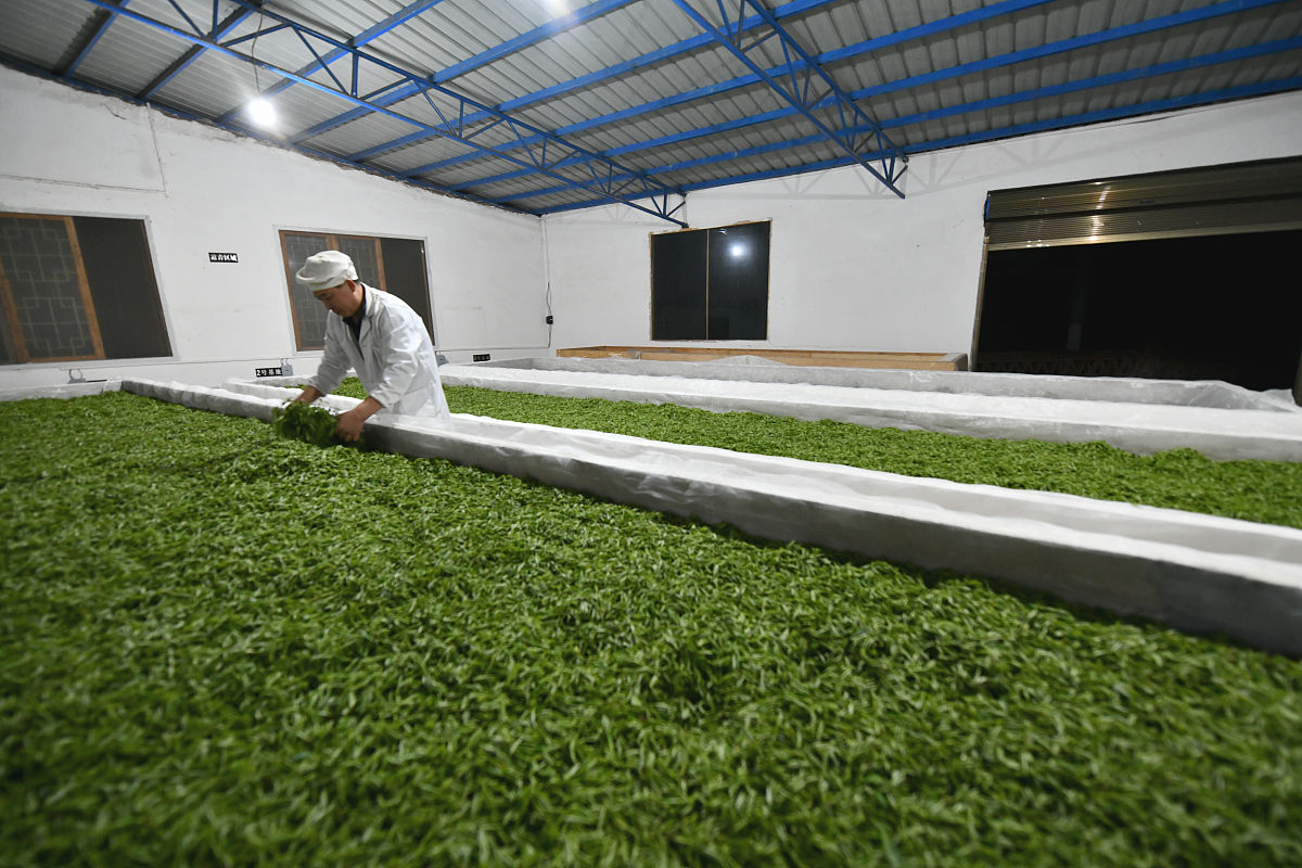 贵州内贸学校茶叶生产与加工专业怎么样