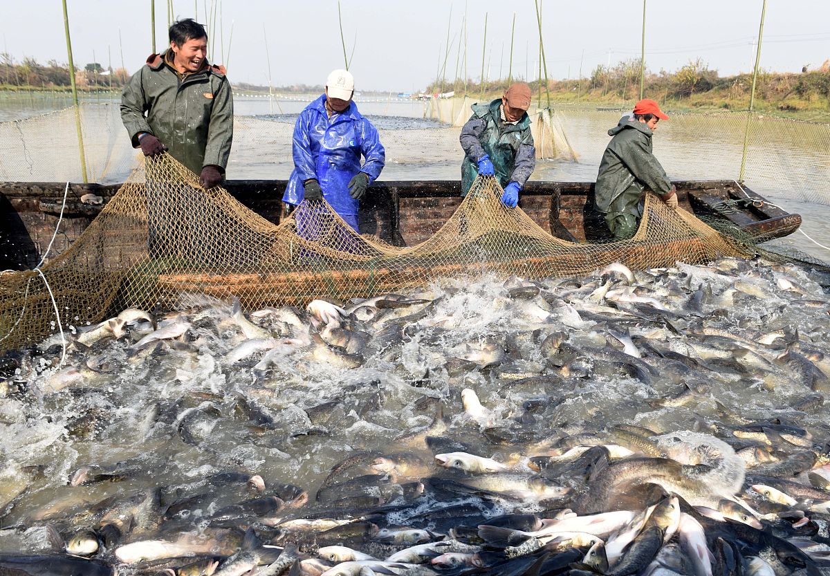 新时代捕鱼业发展方向